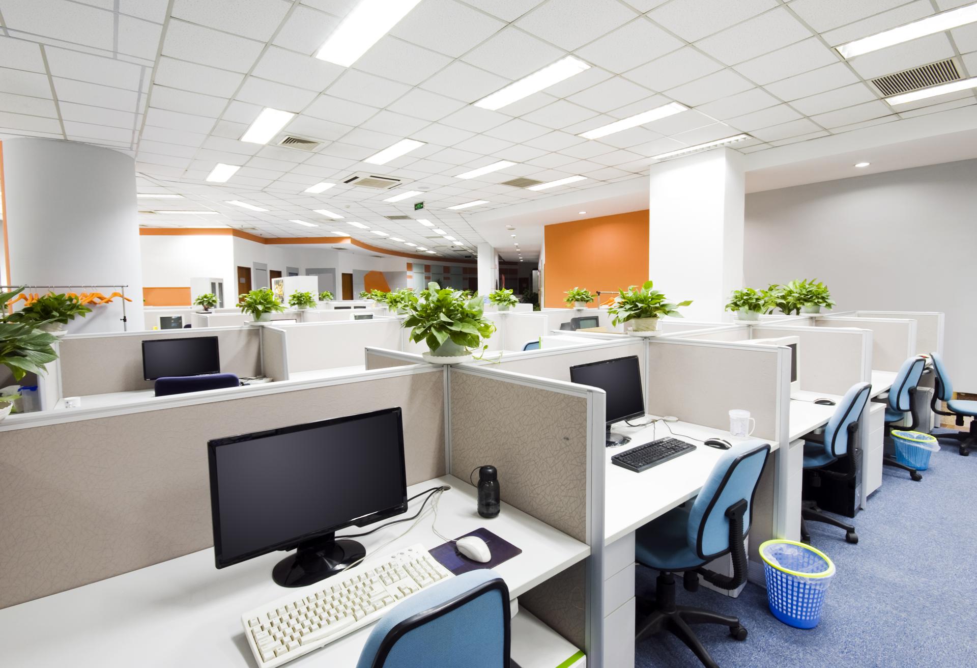 Professional Commercial Office Cleaning Services in Eden Terrace